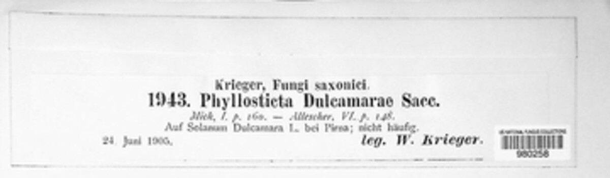 Diaporthe dulcamarae image